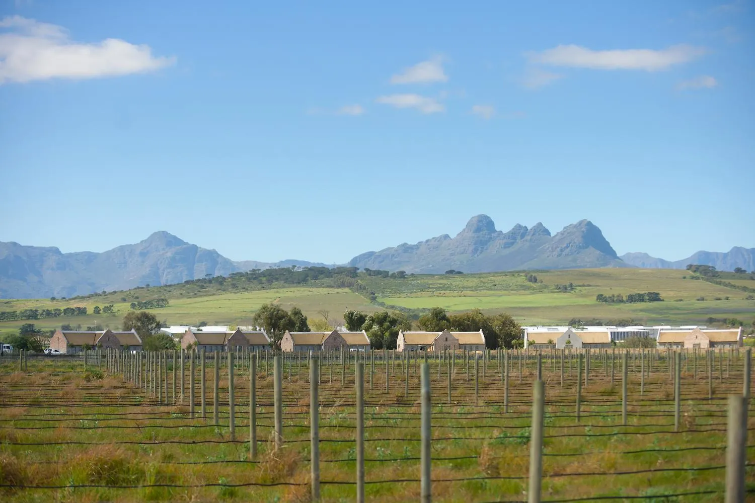Vergenoegd Loew Boutique Hotel & Spa Cape Town