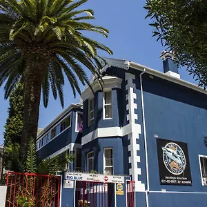 Hostel Big Blue Backpackers